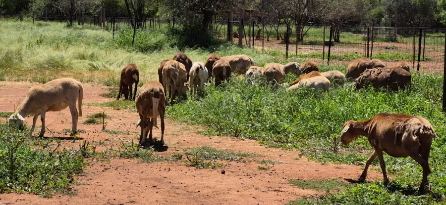 5 Bedroom Property for Sale in Rustenburg Rural North West